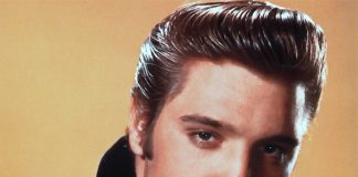 Η φαβορίτα, θέλει τέχνη