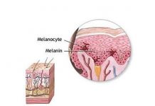 μελανίνη, χρωστική ουσία στα μαλλιά