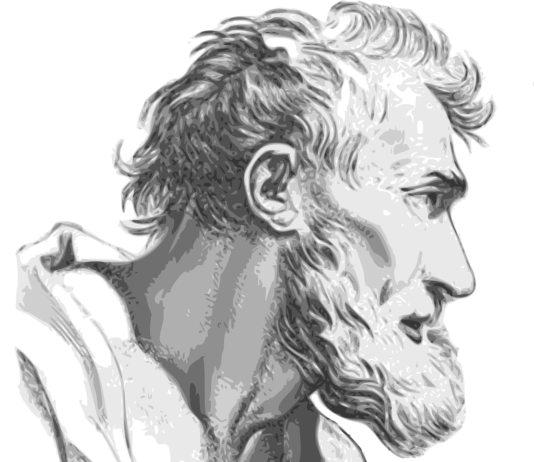 4 συναρπαστικά γεγονότα για τα μούσια